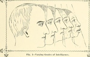 Sketches of head showing "Varying Grades of Intelligence" by associating them with race